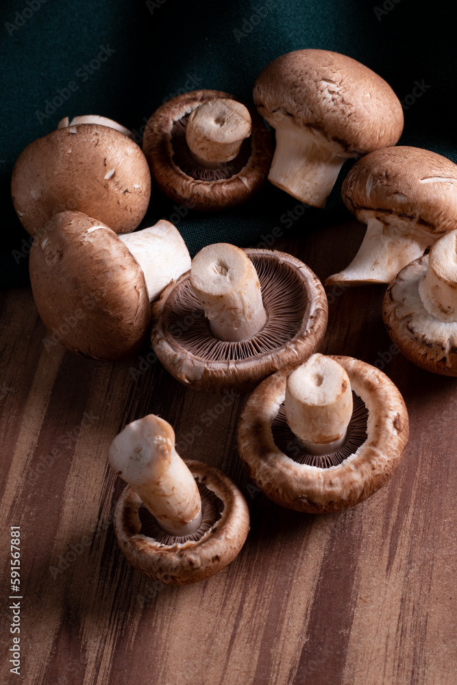 mushroom 6 mushroom 6