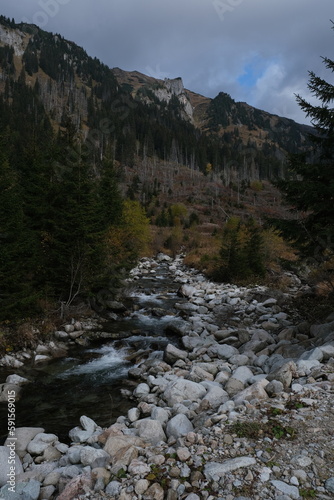 Fototapeta Naklejka Na Ścianę i Meble -  Cascades of a water stream in mountains