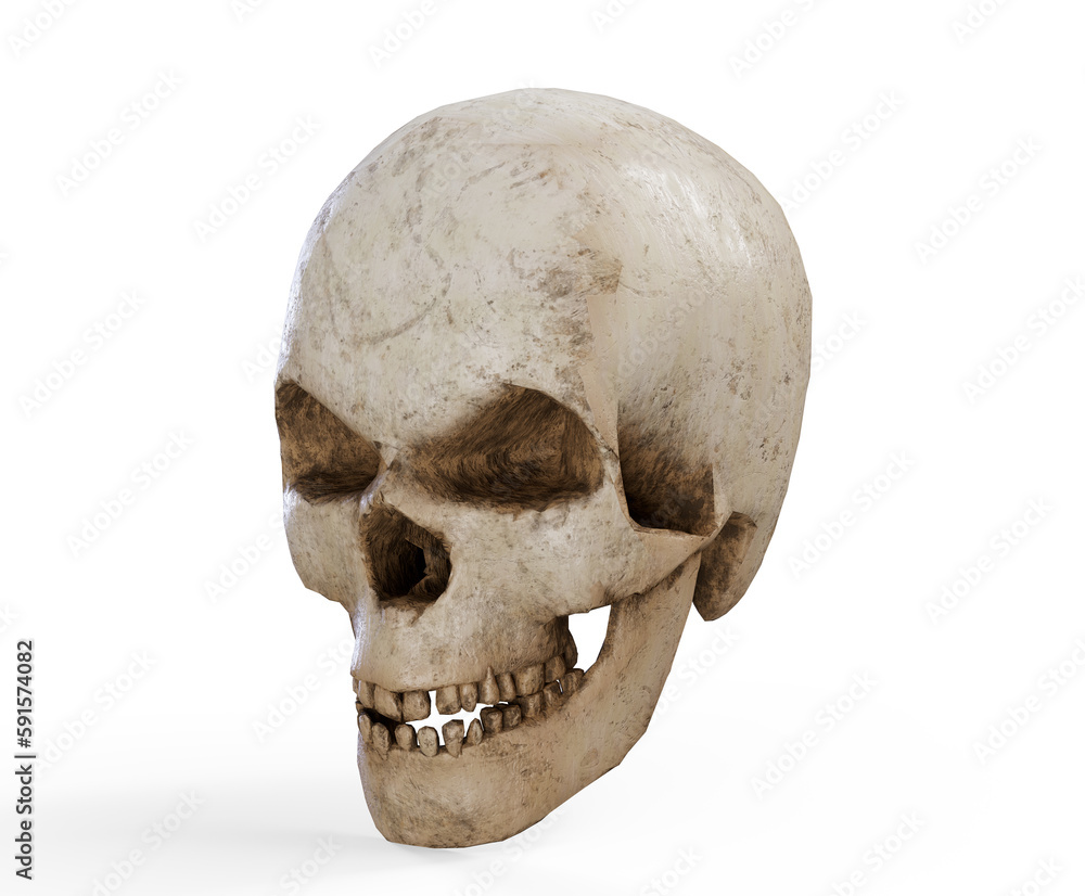 Pirate Skull - 3D render close up Pirate Skull - 3D render close up