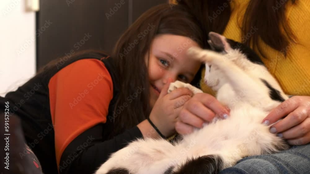 Animation of smiling, joyful little brunette girl holding black and white cat paw gently, playing with funny sleepy cat, sitting on woman knees. New furry member of family. Pet adoption. Video, 4k Animation of smiling, joyful little brunette girl holding black and white cat paw gently, playing with funny sleepy cat, sitting on woman knees. New furry member of family. Pet adoption. Video, 4k