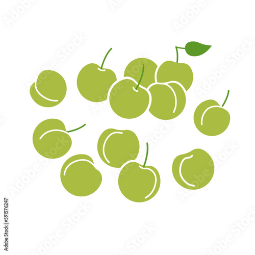 Green plum fruit bunch. Flat vector illustration isolated on white background.