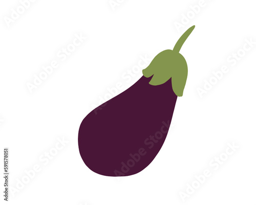 Illustration Whole eggplant, purple vegetable for ratatouille in isolated image on transparent background.