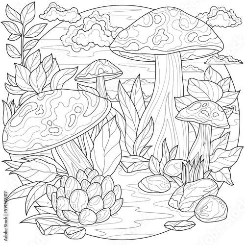 Mushrooms and nature.Coloring book antistress for children and adults. Illustration isolated on white background.Zen-tangle style. Hand draw