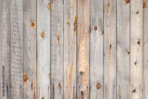 Wooden wall made of uncolored pine wood planks, front view