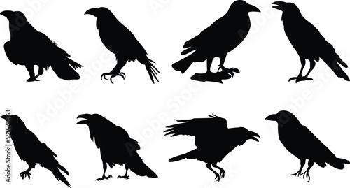 Crow silhouette vectors