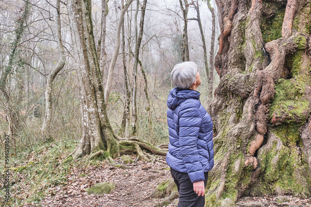 Senior woman looking at old poplar tree in relic forest.