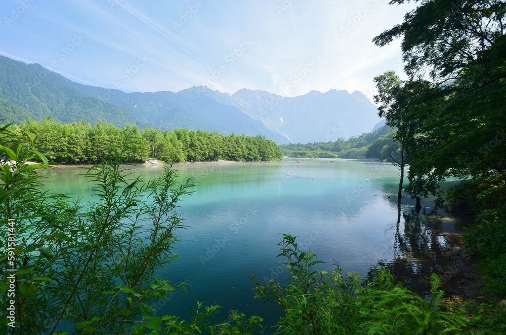 Fototapeta premium 新緑の上高地・大正池