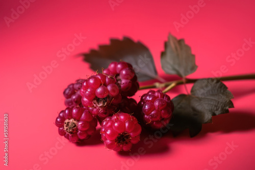 Raspberry, rapberries on red background, generative ai, Fresh tasty fruit photo