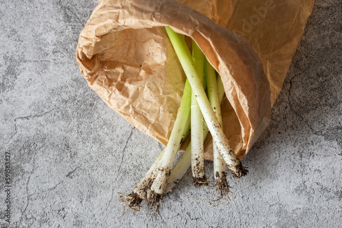 Spring onions in a brown paper bag. Eco friendly sustainable biodegradable plastic free packaging concept
