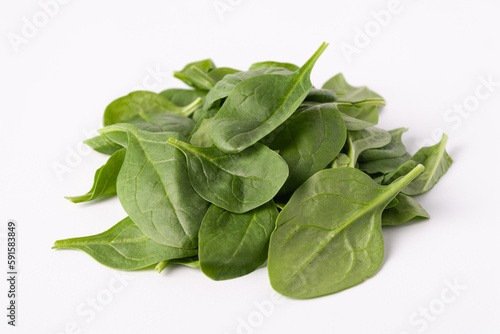 spinach on white, close-up, a place to copy