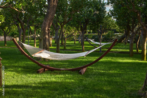 Beautiful landscape with hammock in the summer garden, sunny day. © Ryzhkov Oleksandr