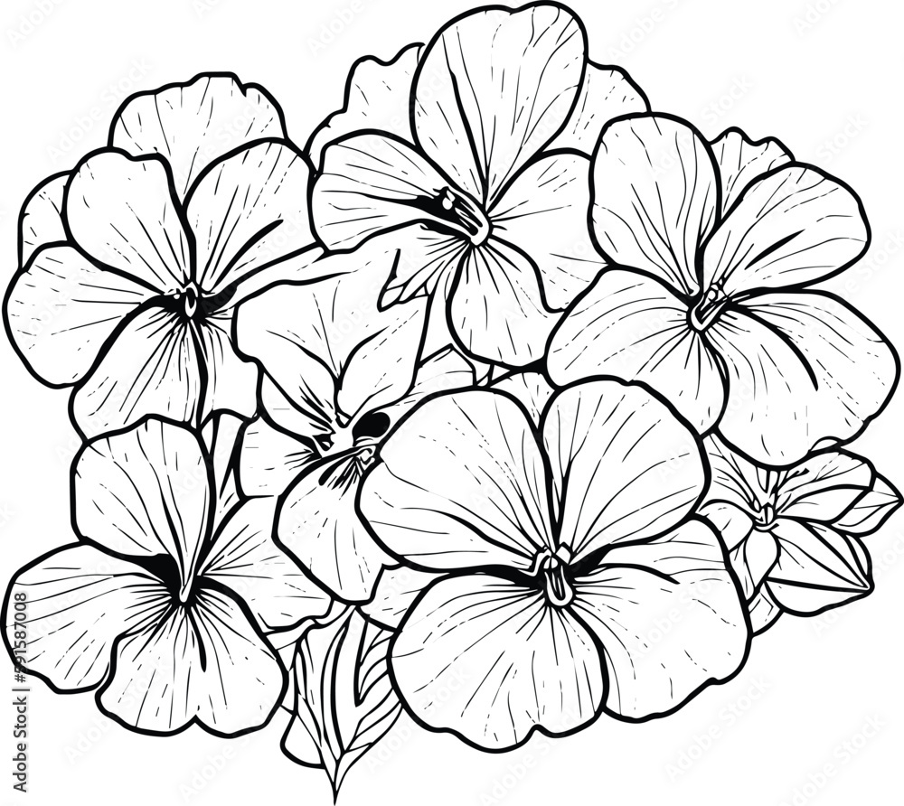 Free Flower Coloring Pages for Kids & Adults-saigonsouth.com.vn