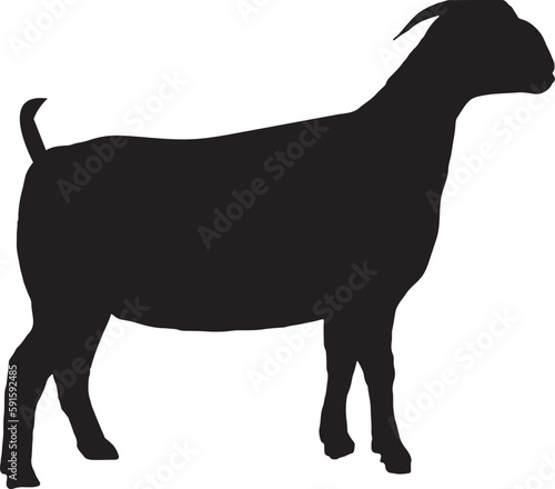 silhouette of a goat