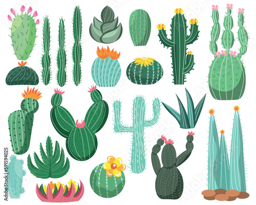 Set of different cacti and succulents on white background
