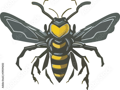 Wasp multicolor vector illustration isolated on white background