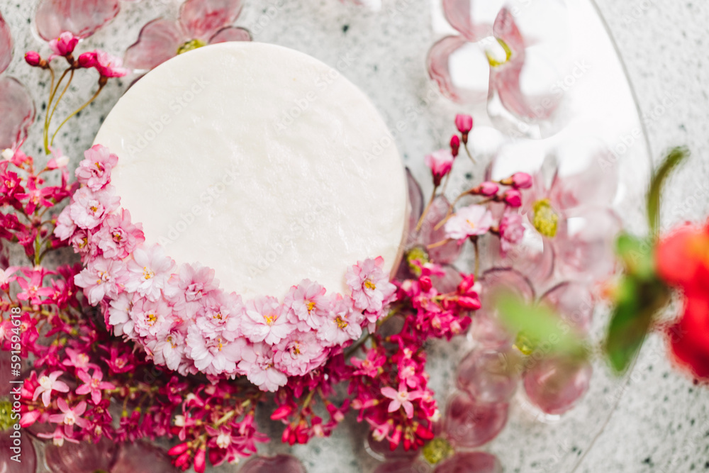 white cheesecake with pink cherry blossoms and currant shrub flowers white cheesecake with pink cherry blossoms and currant shrub flowers