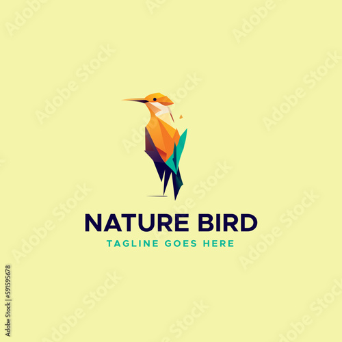 Hummingbird, Creative, digital abstract and bird colorful icon