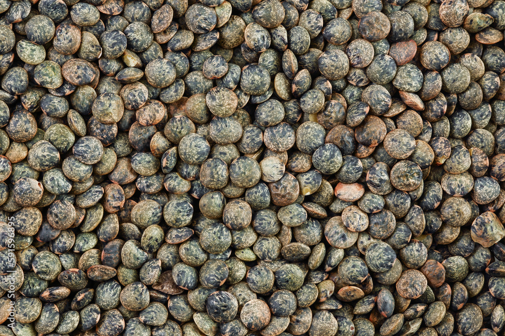 raw french green lentils as a background. Top view. Flat lay raw french green lentils as a background. Top view. Flat lay