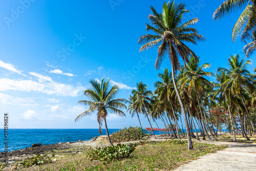 Dominican Republic Santo Domingo, beautiful Caribbean sea coast with turquoise water and palm trees