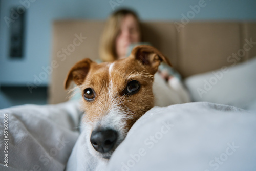 Woman with cute dog chilling in bed at morning and use smartphone, lazy morning. Spending time together, pet affection