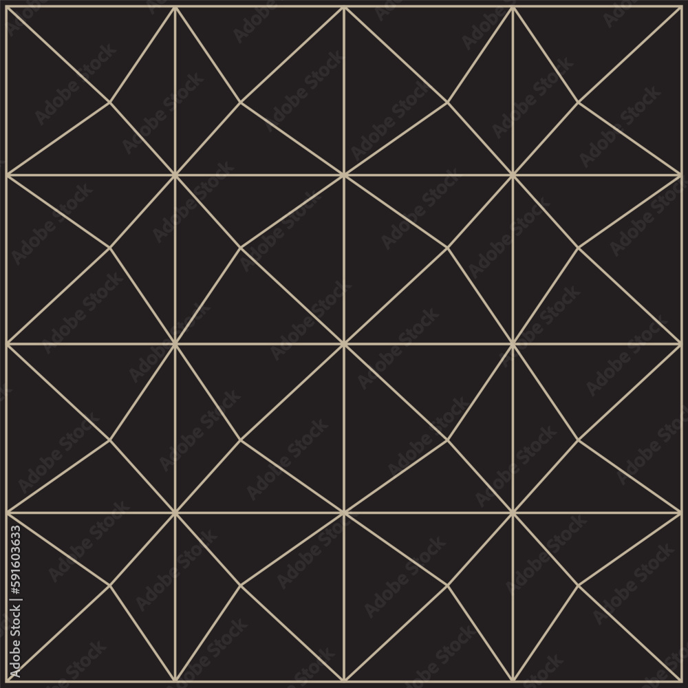 Geometric Pattern Geometric Pattern