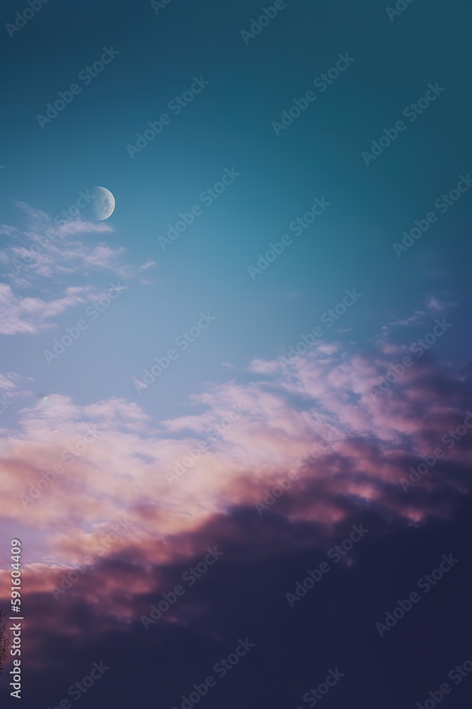 Fototapeta premium the moon shines over the treetops in a pink sky