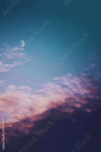 the moon shines over the treetops in a pink sky © Fernando