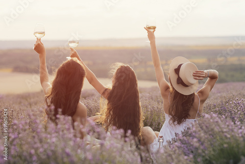Back view of company of young female friends having fun, drink wine, and enjoy beautiful landscape and sunset at summer picnic.
