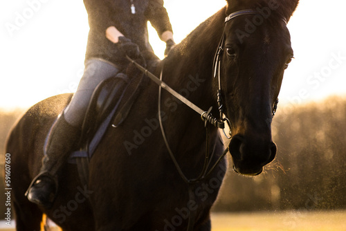 Fototapeta Naklejka Na Ścianę i Meble -  Female horse rider riding outdoors on her lovely horse