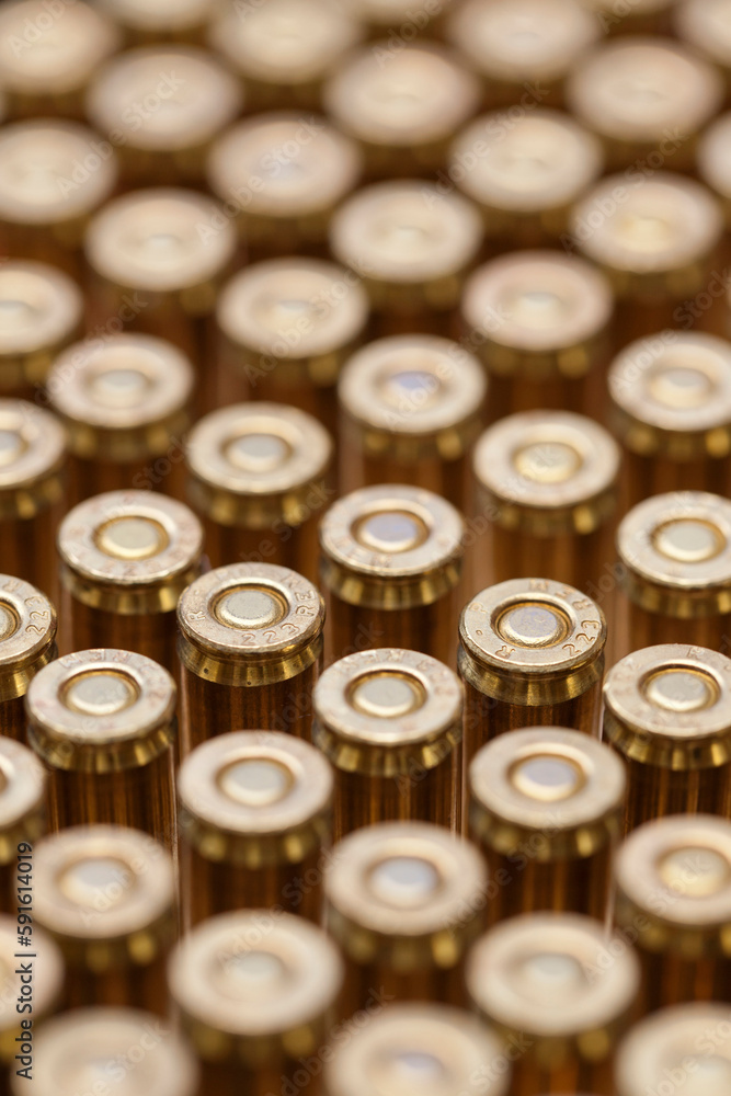Close-up of .223 Caliber Bullets for a Rifle Close-up of .223 Caliber Bullets for a Rifle