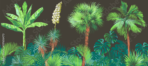 A set of Tropical seamless pattern bananas palm trees, monstera, yucca, leaf, fruits foliage collection. Vector watercolor realistic illustration. Vintage design