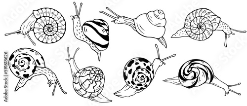 A set of decorative sketches, doodles of various snails.Vector graphics.