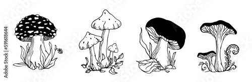 A set of sketches, doodles of forest mushrooms toadstools with leaves and grass.Vector graphics.