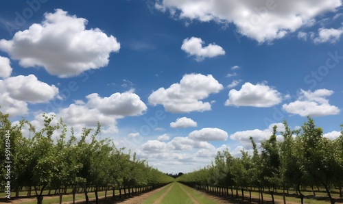  a row of trees in a field under a cloudy blue sky.  generative ai