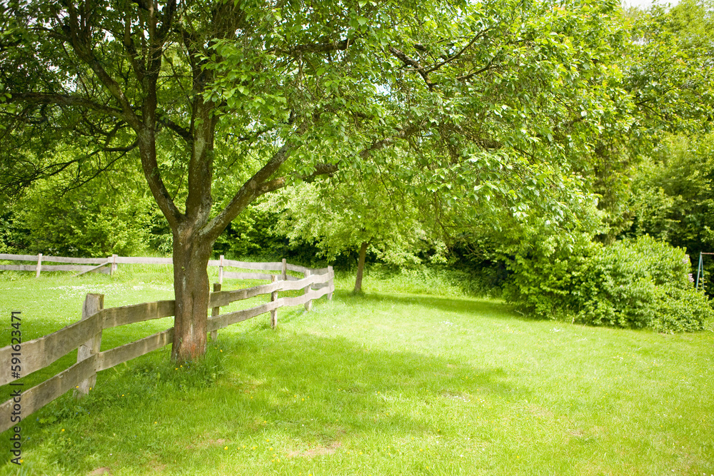 Fence and Tree in Field, Eslohe, Hochsauerland, North Rhine-Westphalia, Germany Fence and Tree in Field, Eslohe, Hochsauerland, North Rhine-Westphalia, Germany