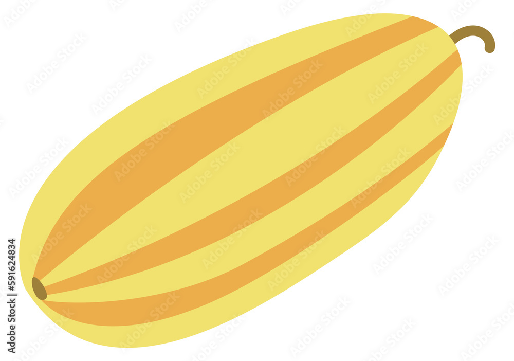 Melon icon. Striped ripe fruit in hand drawn style Melon icon. Striped ripe fruit in hand drawn style