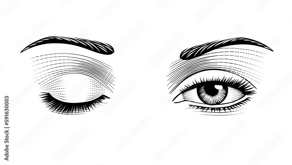 Learn How To Draw A Realistic Eye In Seven Simple Steps  Pencil Perceptions