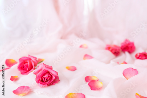 Assorted rose heads. Various soft roses and leaves scattered on pink background, top view © Mykola