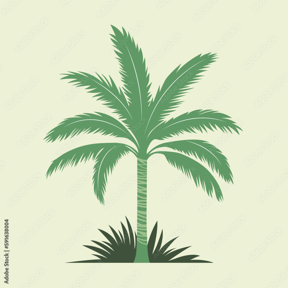 Obraz premium palm tree vector illustration