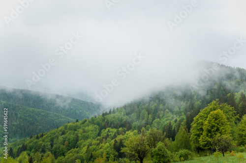 Landscape of mountains, forest against the background of mountains, clouds