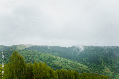 Landscape of mountains, forest against the background of mountains, clouds © Galka3250