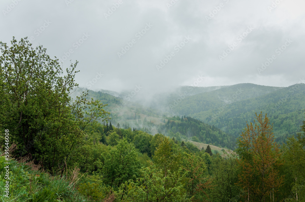 Landscape of mountains, forest against the background of mountains, clouds