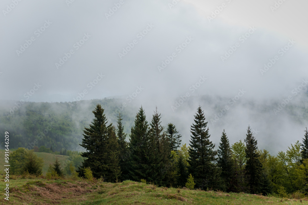Landscape of mountains, forest against the background of mountains, clouds Landscape of mountains, forest against the background of mountains, clouds