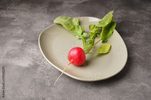 One fresh red radish in a plate on a gray background