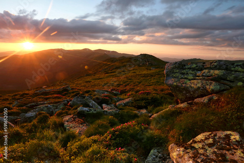 unbelievable summer nature scenery, scenic sunset view in the mountains, Chornohora range, Ukraine, Europe ..exclusive - this image is sold only on Adobe Stock