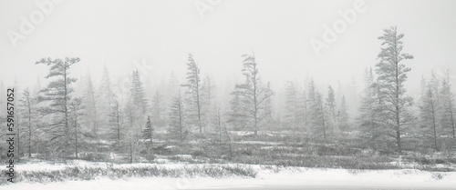 Boreal forest in a blizzard, creating a beautiful panoramic piece of fine art; Churchill, Manitoba, Canada photo
