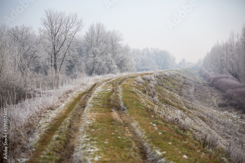 frostbitten landscape with a muddy dirt road running through it 