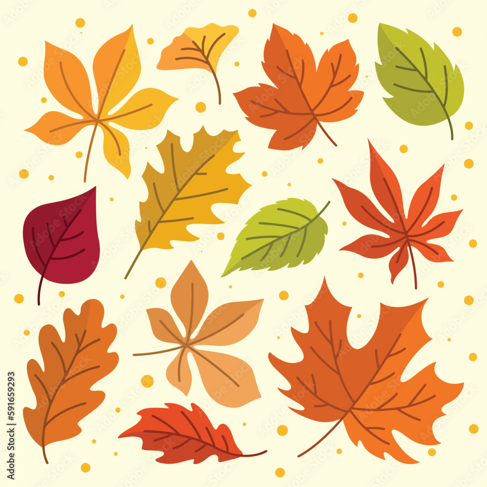 Fototapeta premium Vector set of simple decorative autumn leaf silhouettes. The flat style leaves oak, maple, birch, and rowan illustration