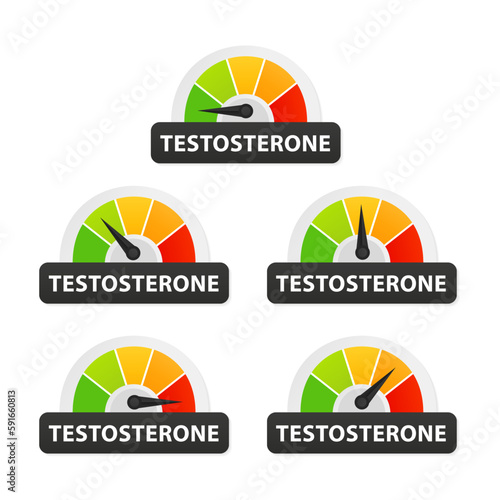 Testosterone icon on speedometer. High testosterone meter. Testosterone level meter. Increase. Hormone testosterone level measuring scale. Health care concept. Vector illustration