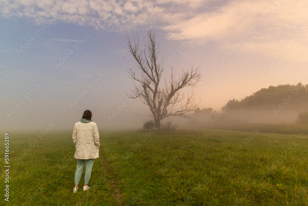 lady walking alone toward old tree in foggy night
